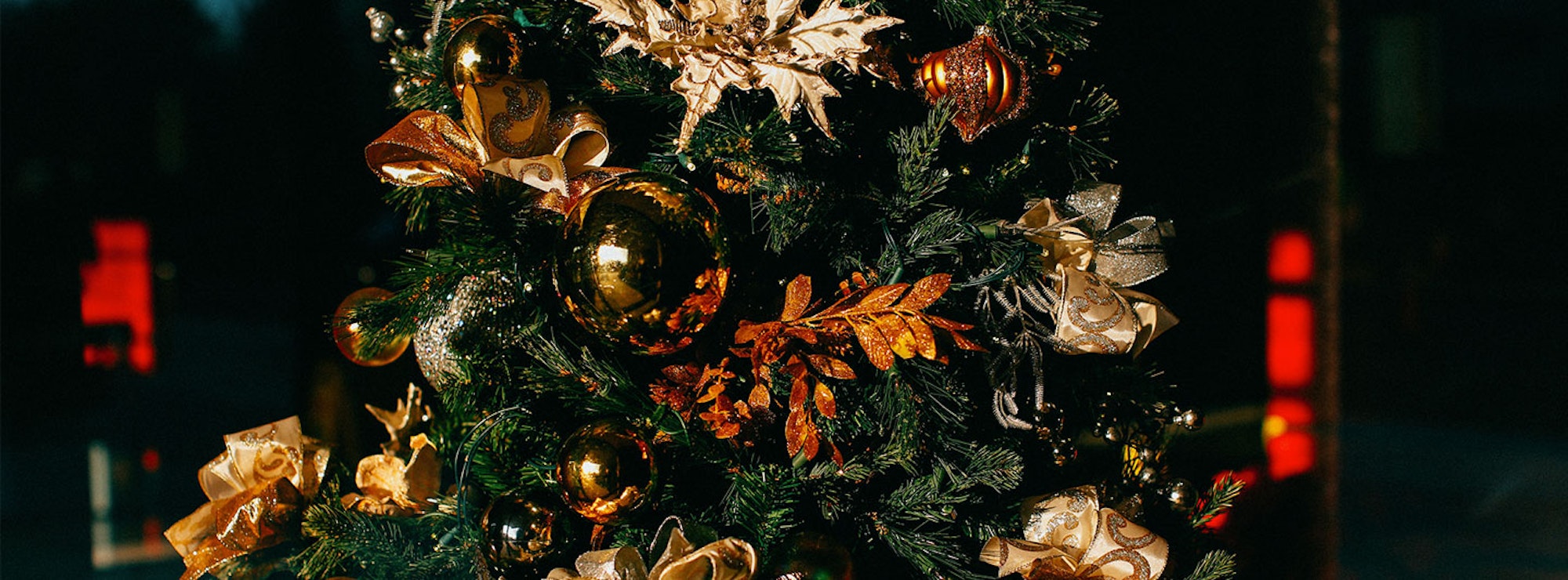 Top of a Christmas tree