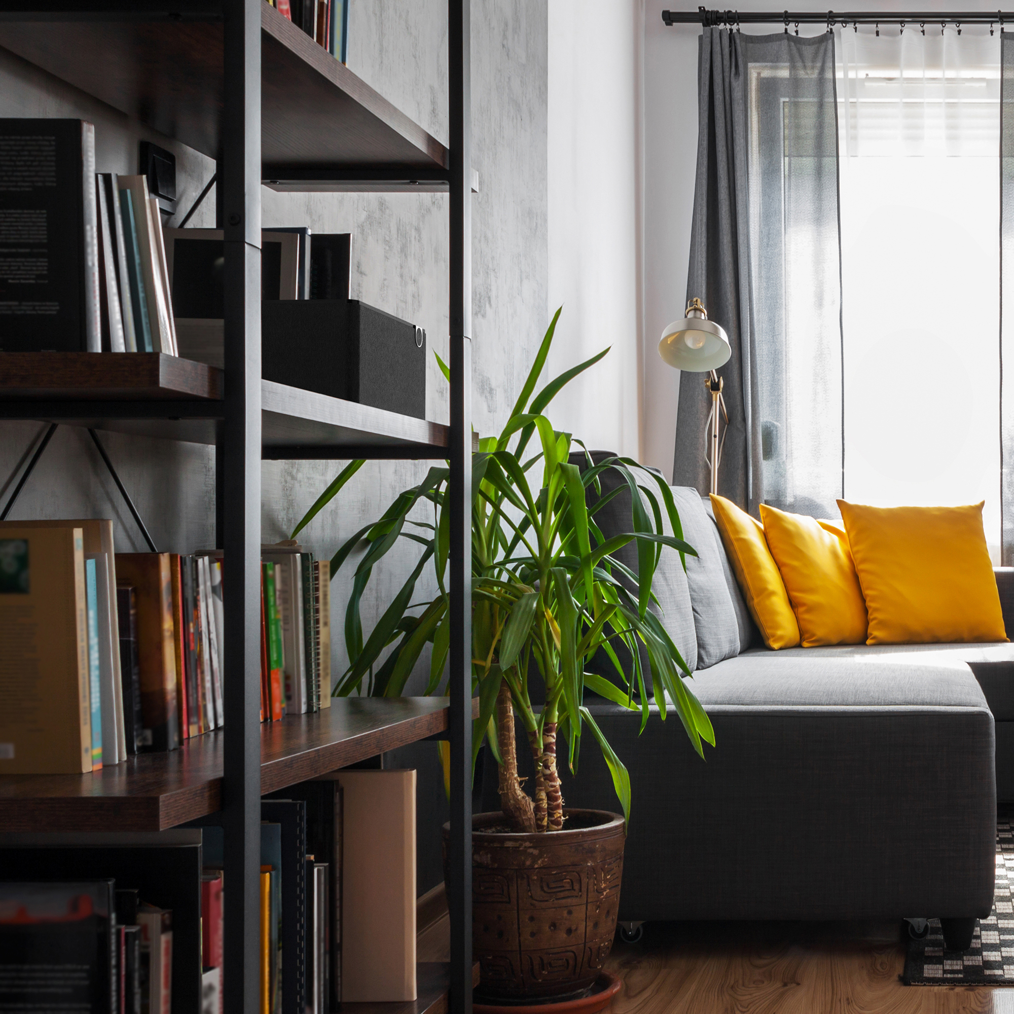 Bluetooth Klipsch The Three Plus on bookshelf 2000x2000