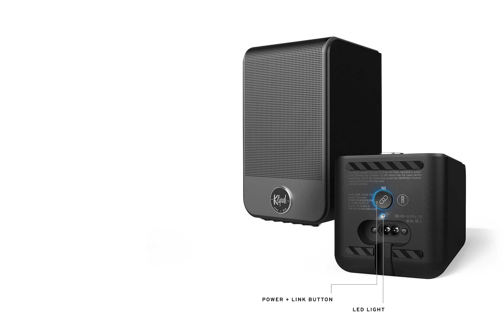 Flexus SURR 100 on wht BG Labeled 2000x1333 B