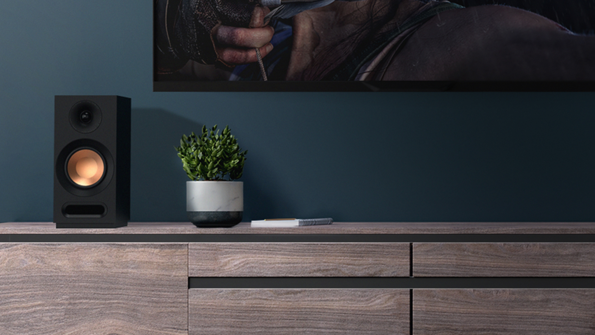KD 51 M Speaker on a credenza next to a plant