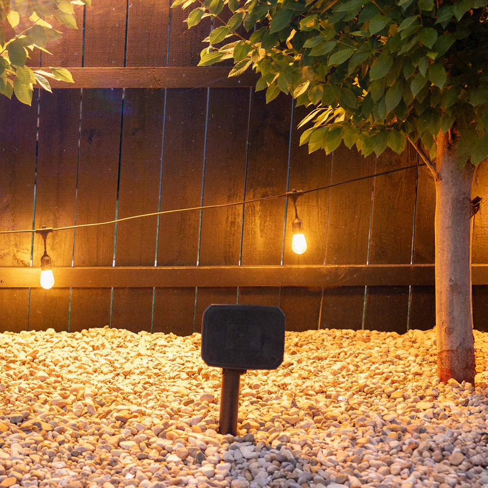Klipsch Courtyard Speakers outdoors in gravel between symmetrical trees 2000x2000
