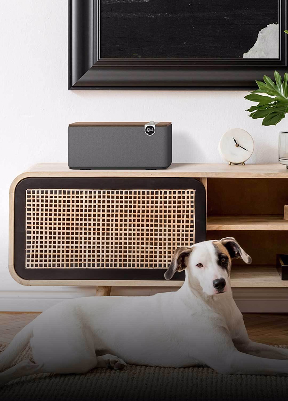 Klipsch The One Plus next to dog