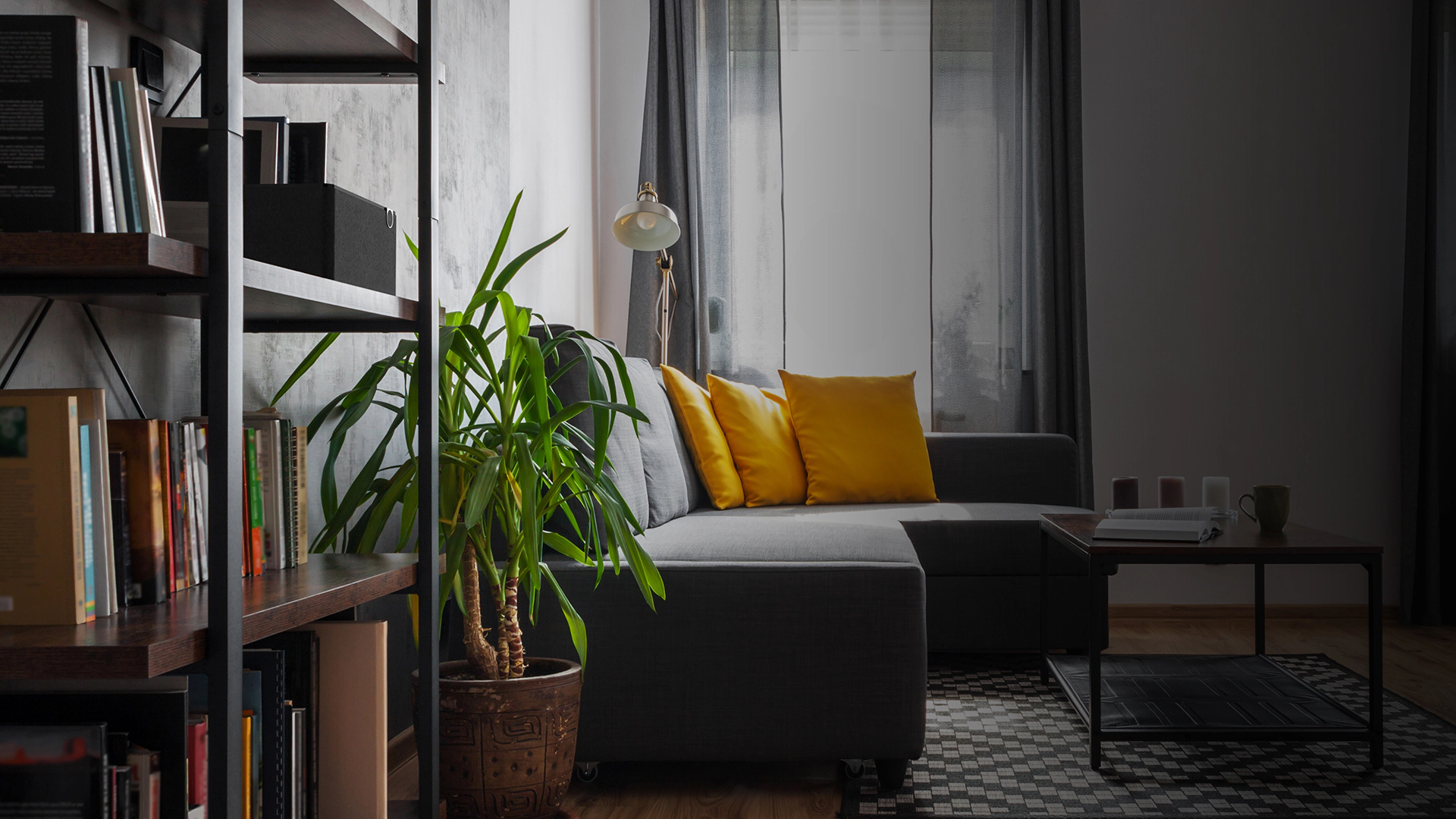 Klipsch The Three Plus on bookshelf 1920x1080