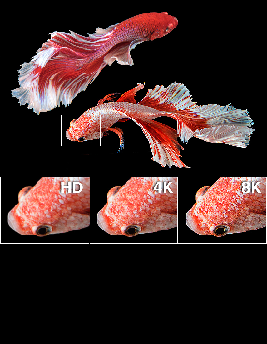 Pioneer VSX 835 4 K 8 K 855x1100 v02 2023 11 08 194714 lqba