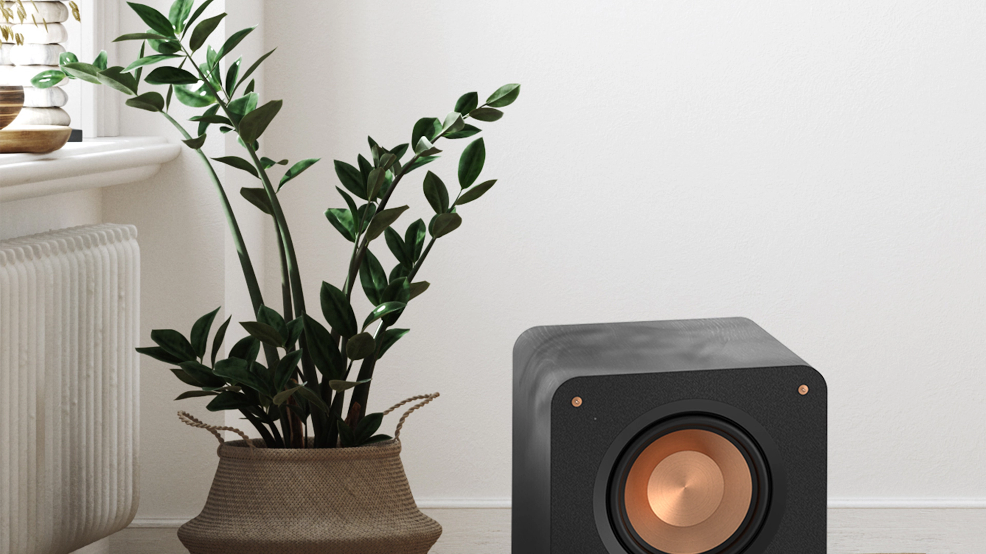 RP 1000 SW on a wooden floor next to a potted plant 1