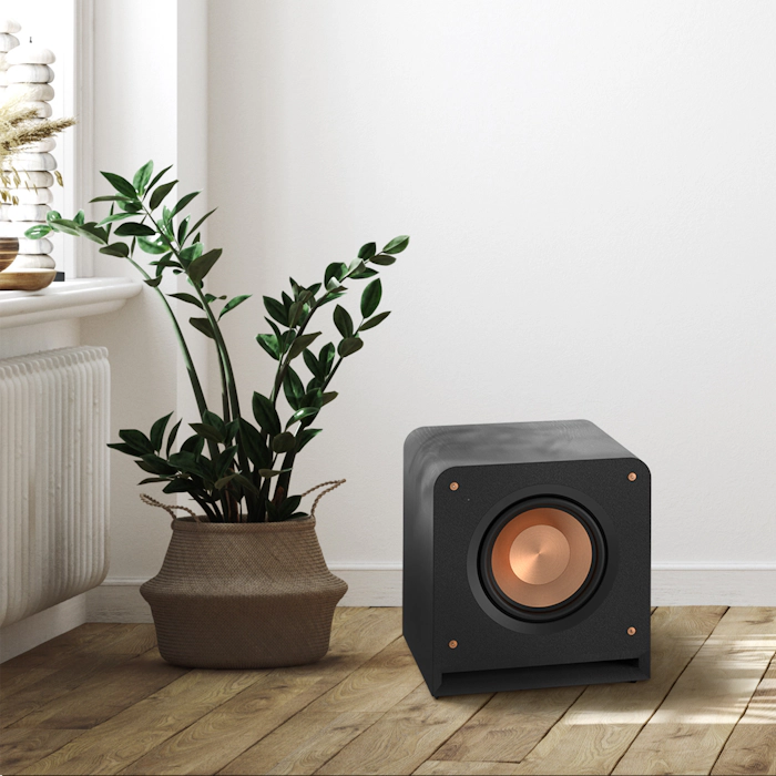 RP 1000 SW on a wooden floor next to a potted plant 1