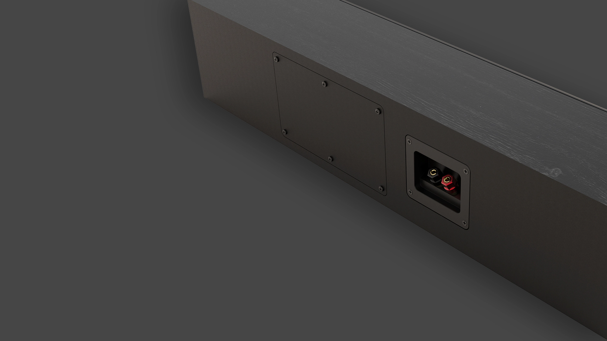 RP 404 C II rear angle showcasing the sealed cabinet design