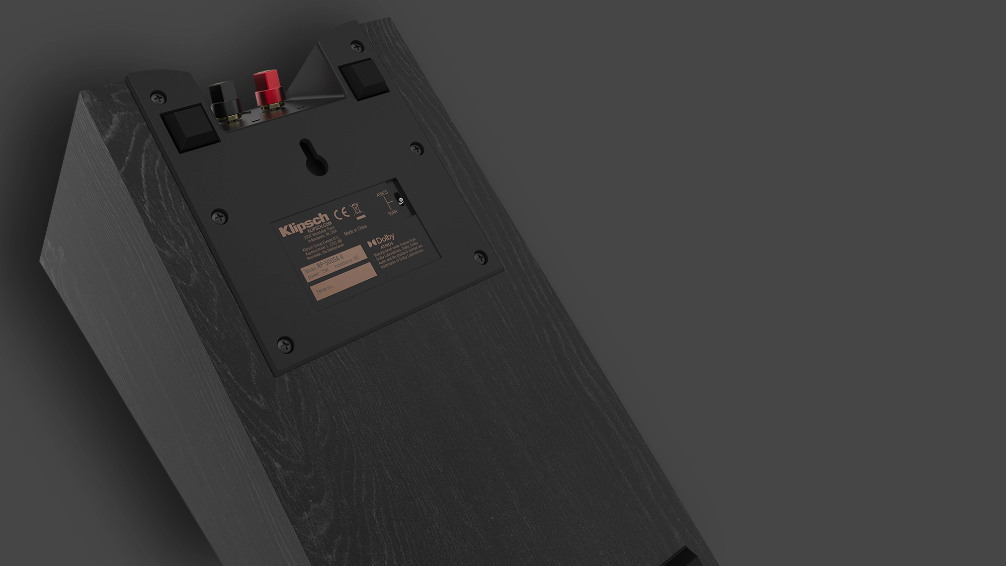 RP 500 SA II closeup of rear panel with switchable crossover