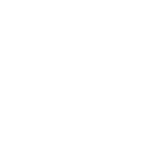 SUBWOOFER ICON V4