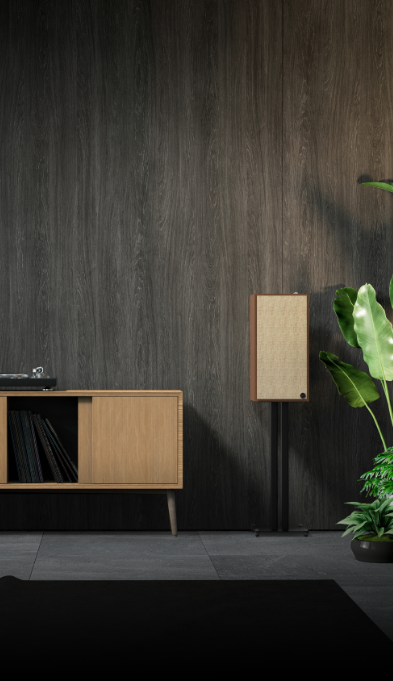 Speaker Stand Pairing KS 24 With The Nines