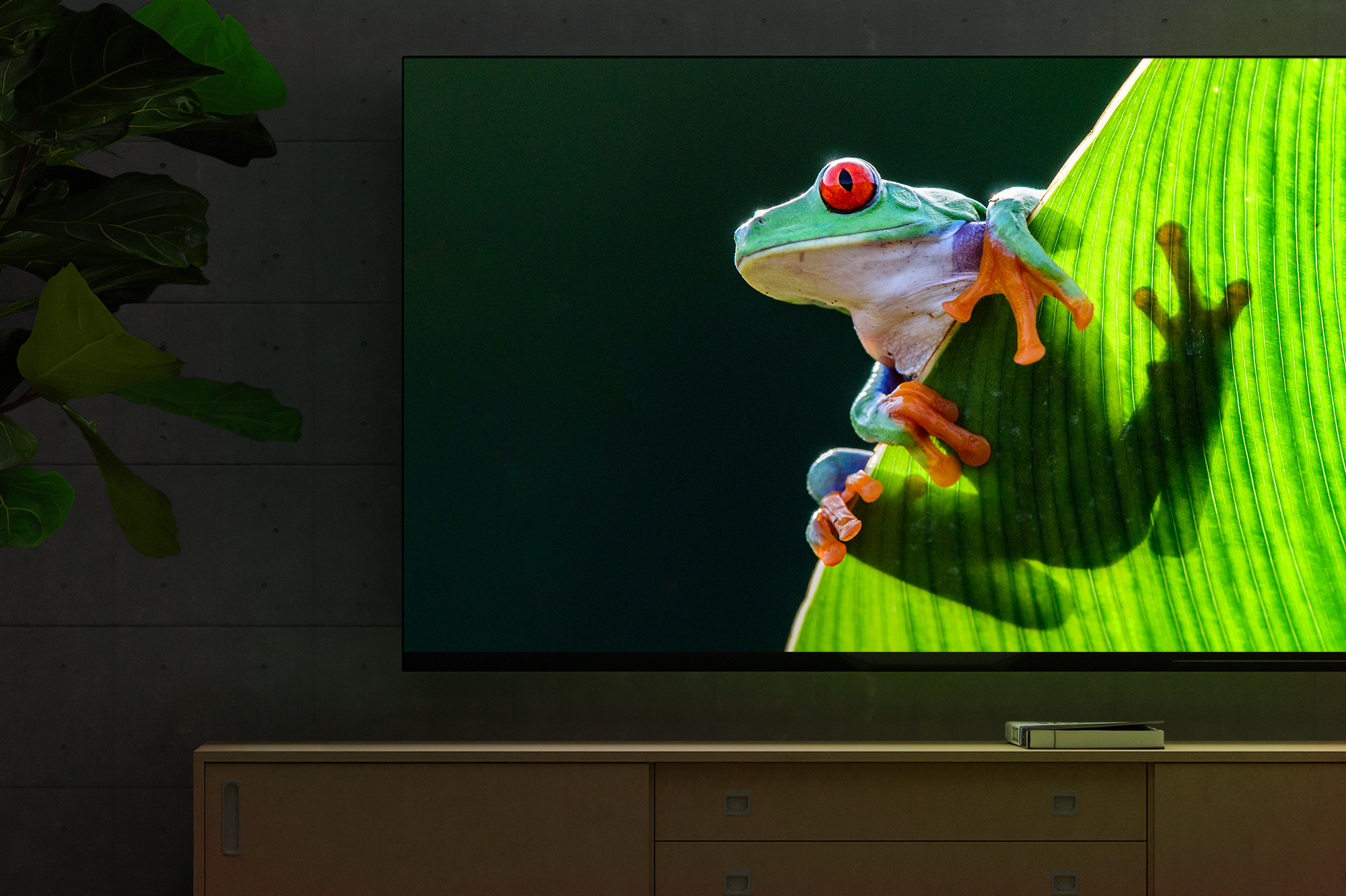 TX SR393 4 K 2000x1333