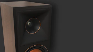 Рупор RP 5000 F II крупным планом