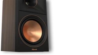 RP 600 M II closeup of all new cerametallic woofer