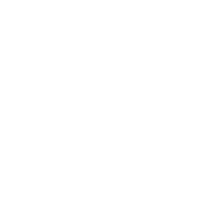 Subwoofer Icon V4