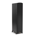 Synergy Black Label F-300 Floorstanding Speaker