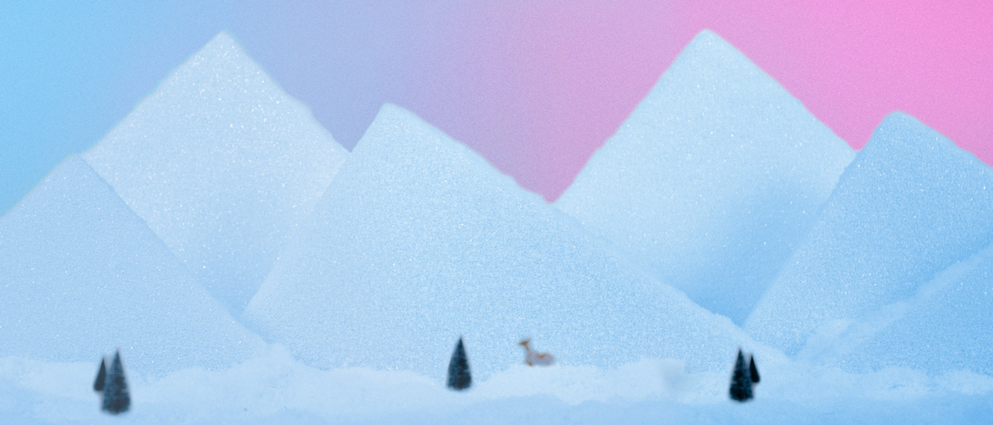 Great Gifts For Every Budget