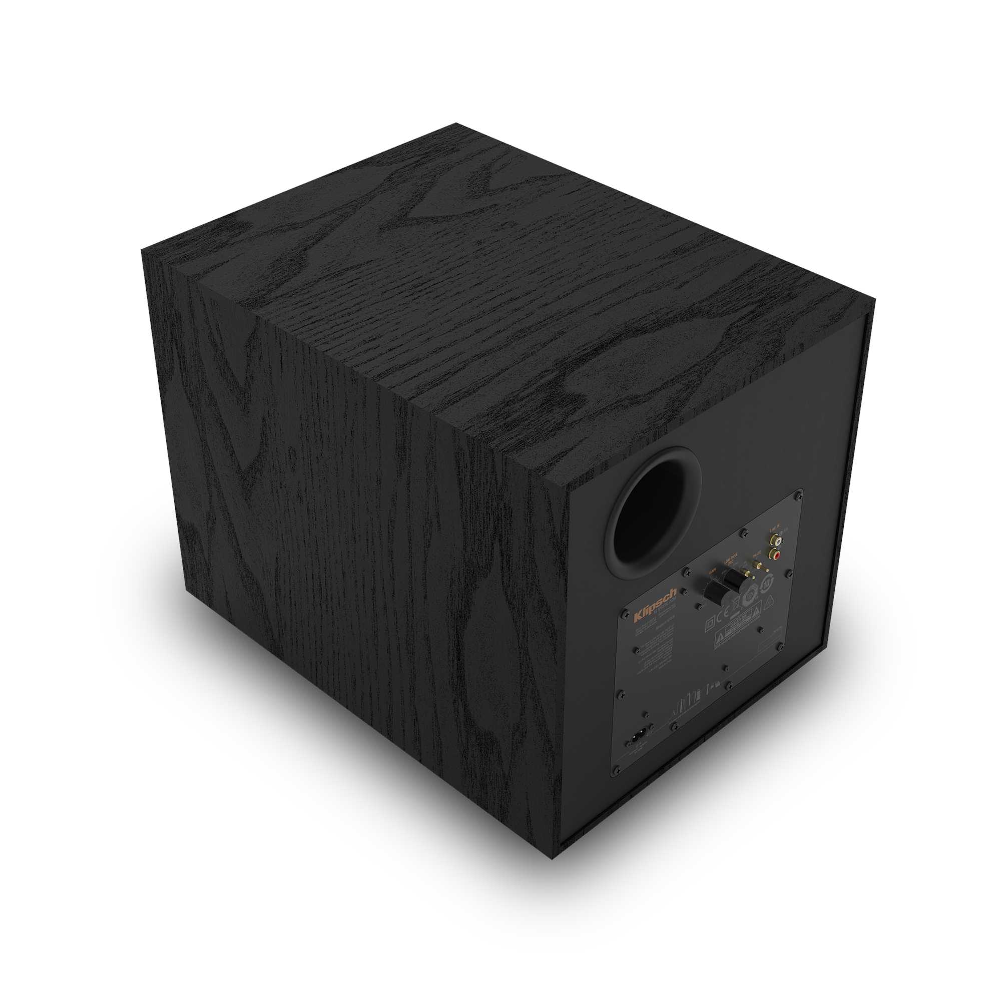 Klipsch R 101 SW Subwoofer rear angle view 5