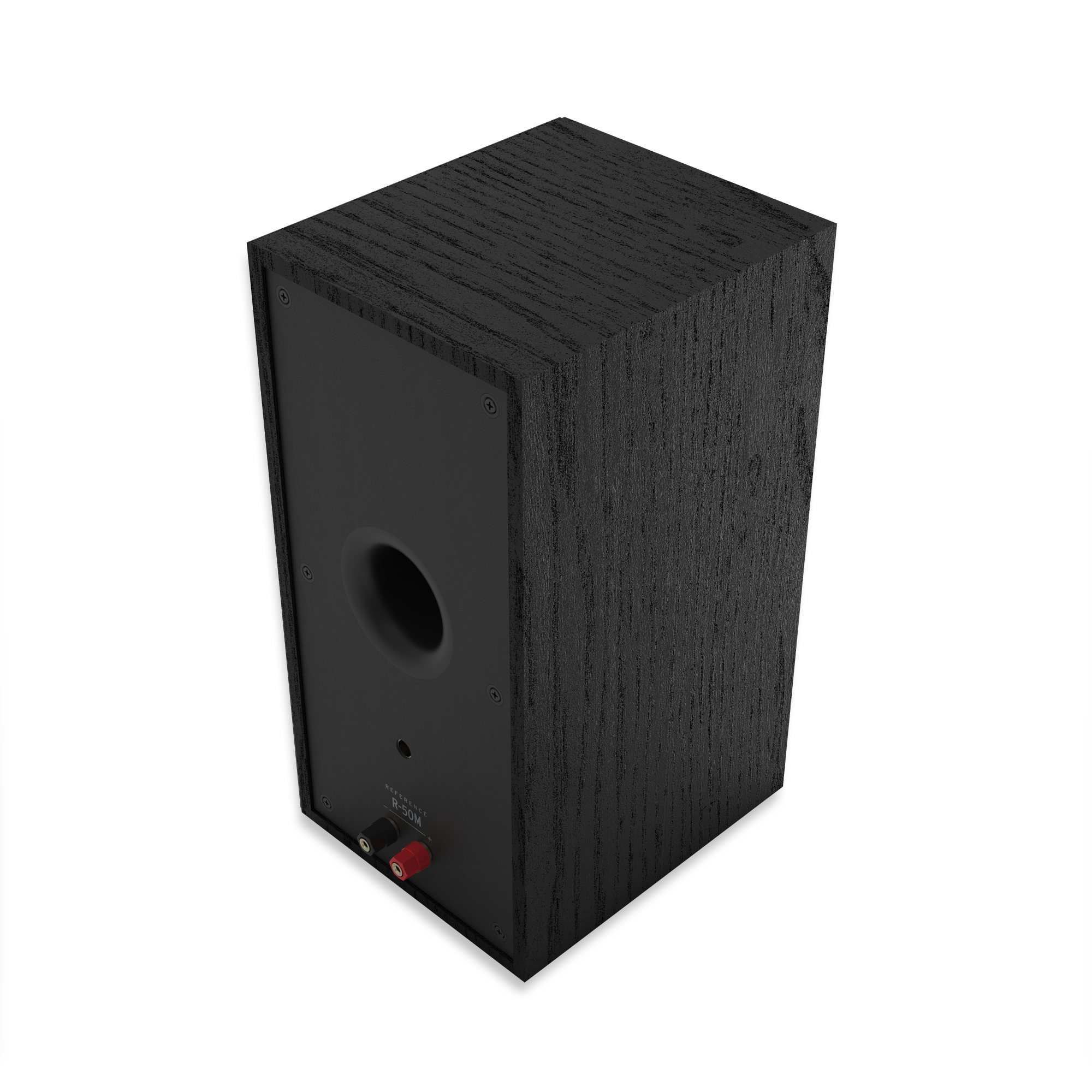 R 50 M Rear View Angled