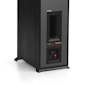 R 610 F Back 2