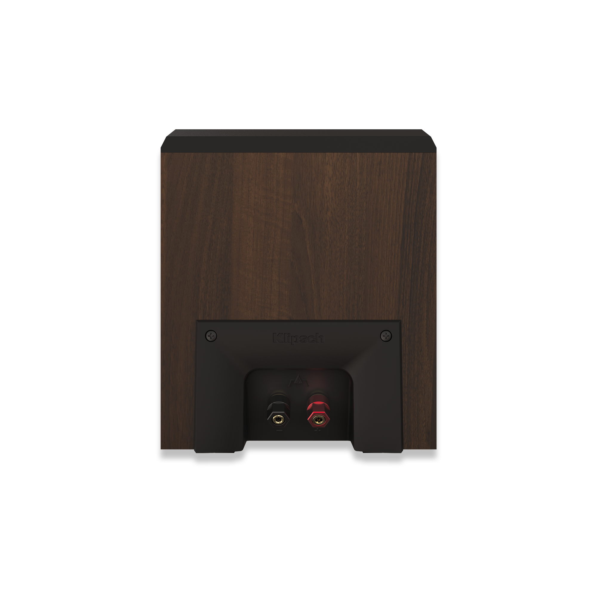 RP 500 SA II Walnut Back