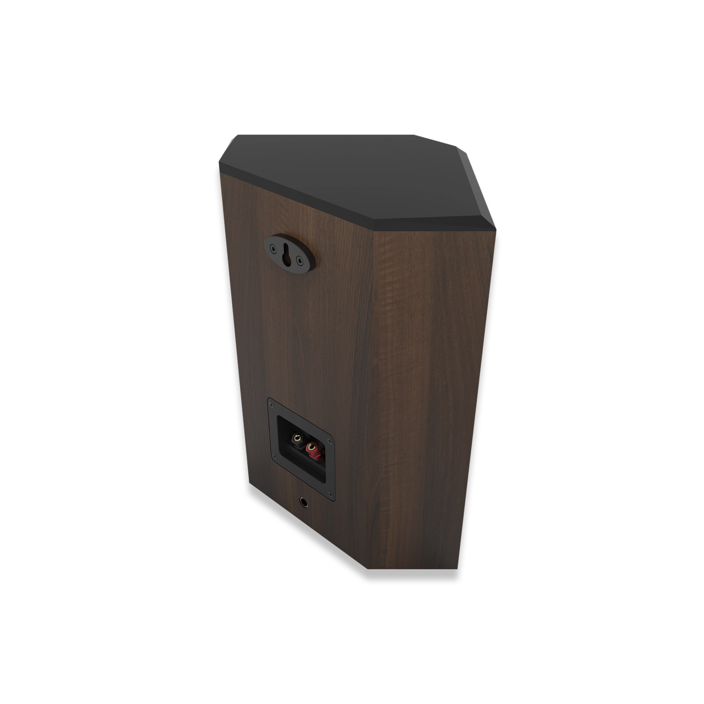 RP 502 S II Walnut Back Angle