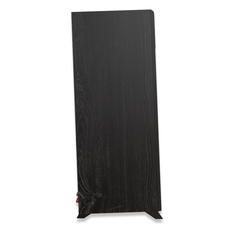 RP 6000 F II Black Left