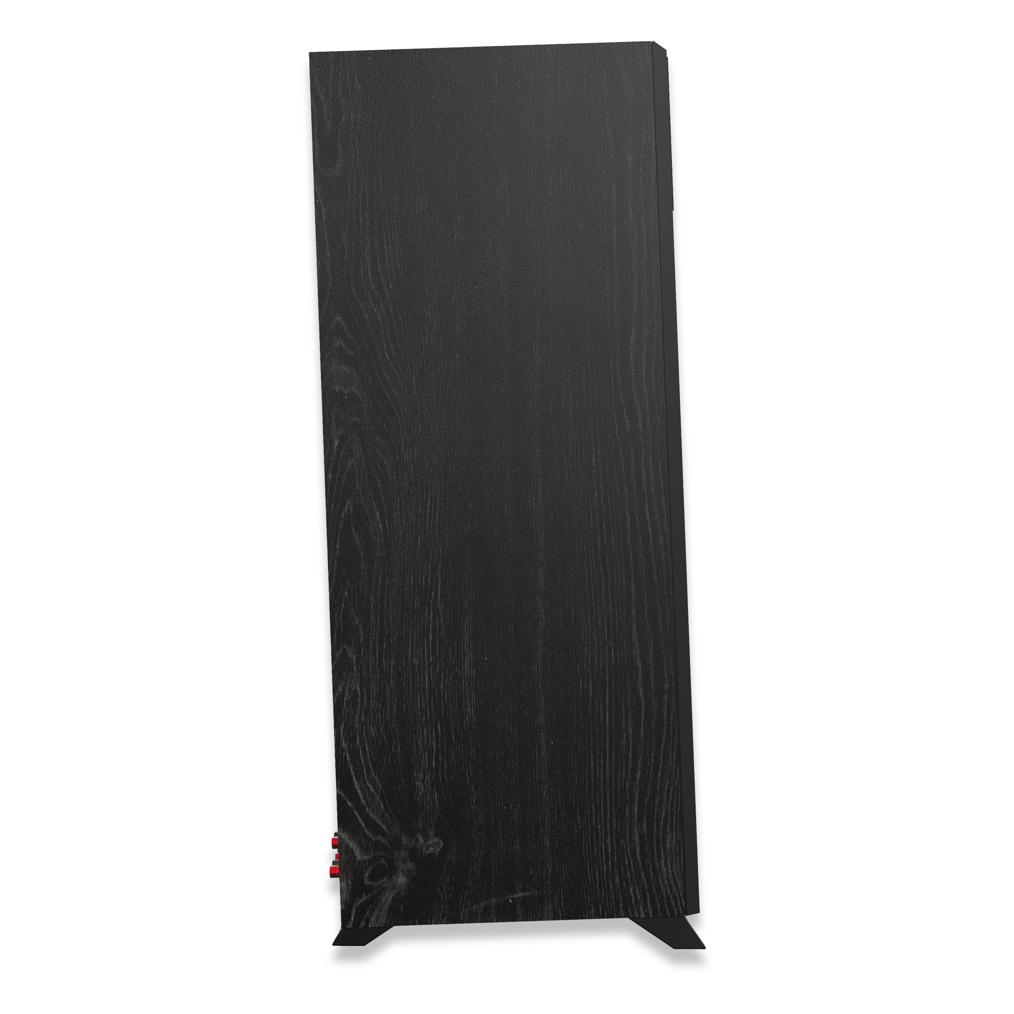 RP 6000 F II Carousel 6