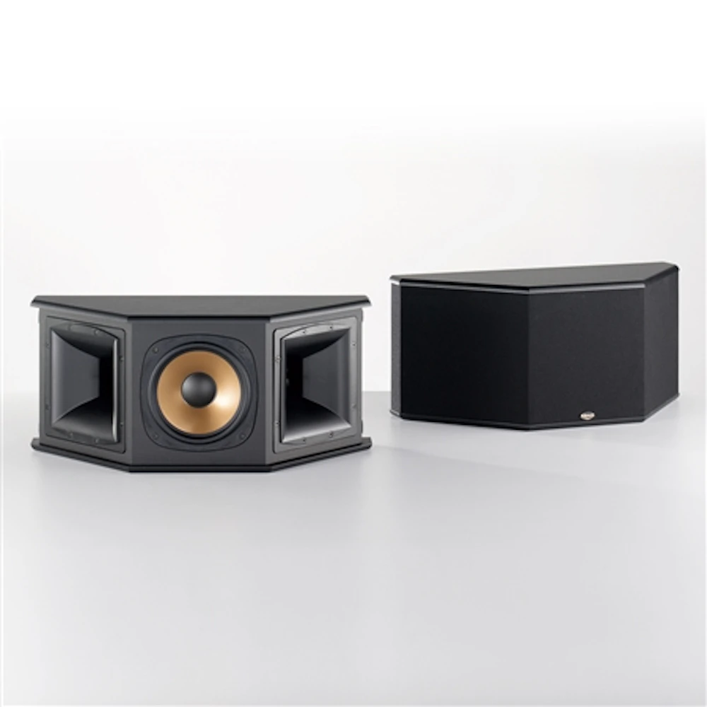RS 3 Surround Speaker
