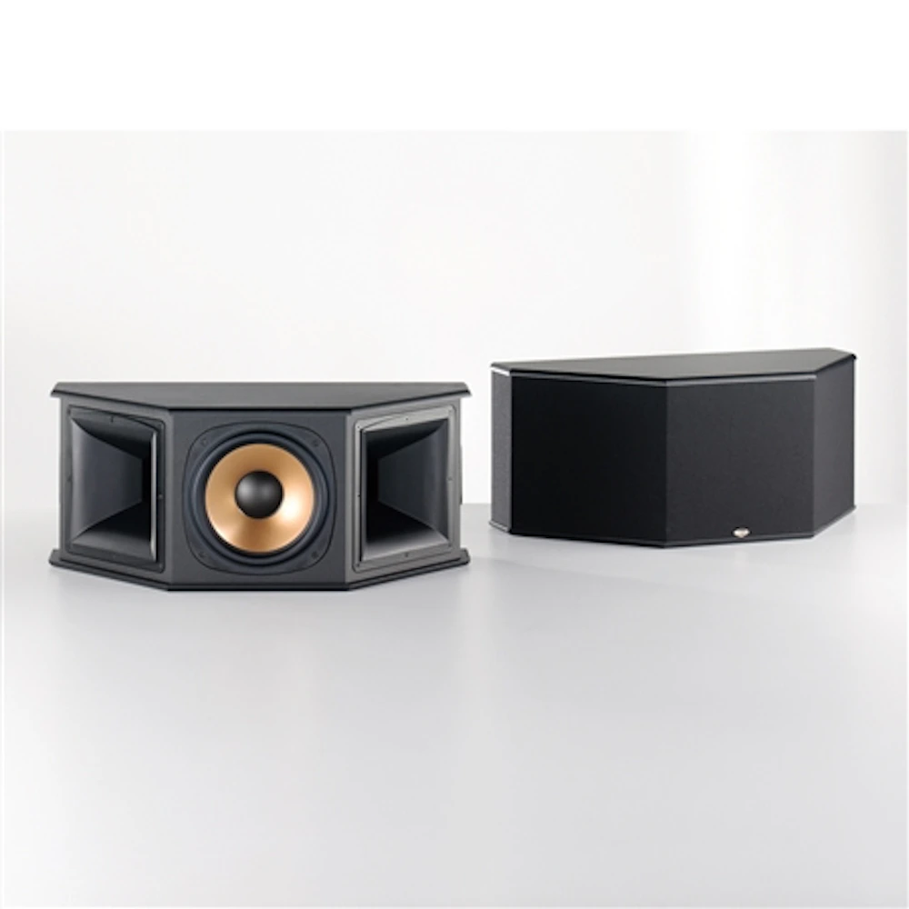RS 7 Surround Speaker