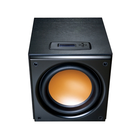 RSW 10d Subwoofer