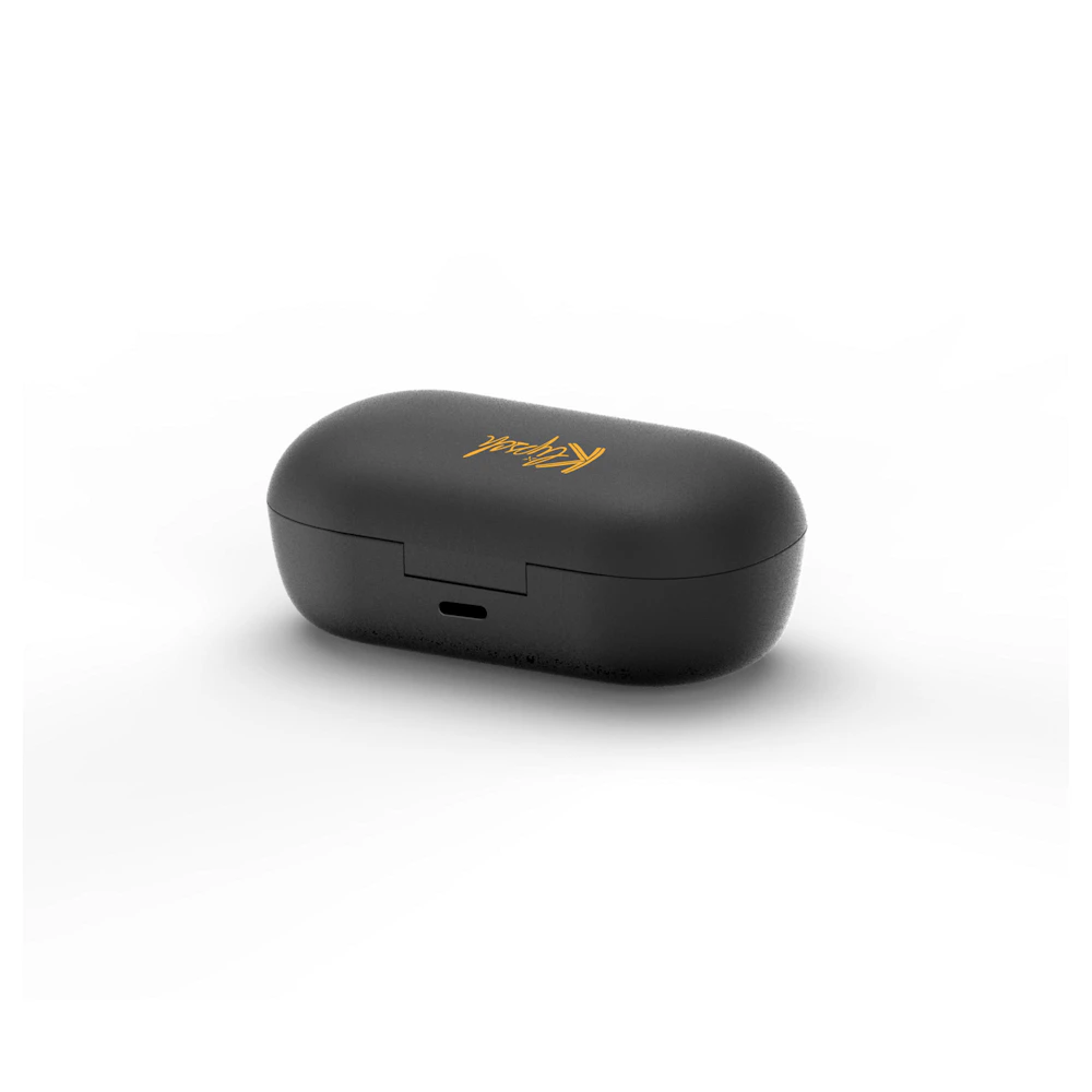 T3 earphone case