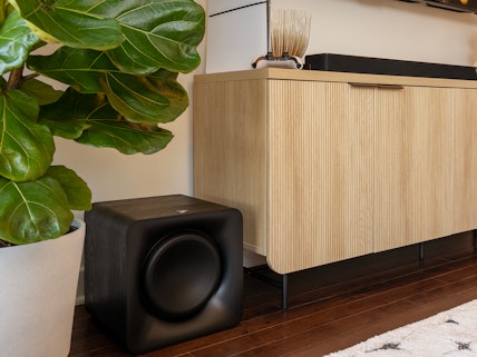 Klipsch Flexus SUB 100 beside fiddle leaf fig 2000x1333
